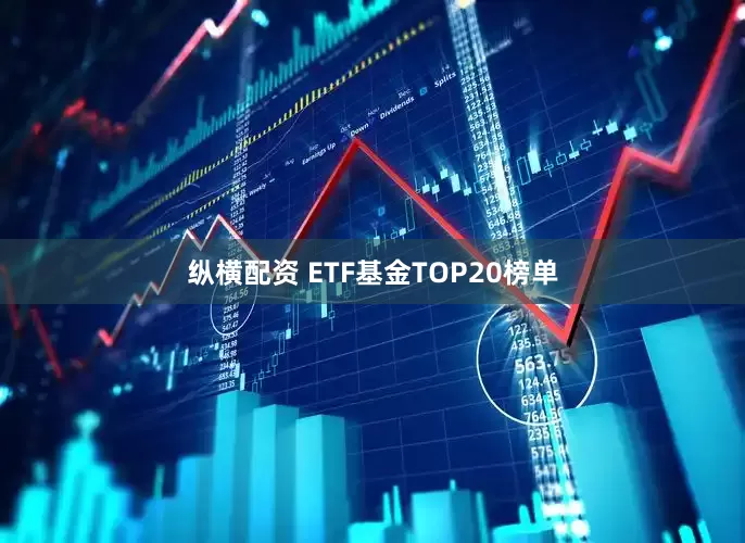 纵横配资 ETF基金TOP20榜单