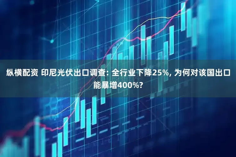 纵横配资 印尼光伏出口调查: 全行业下降25%, 为何对该国出口能暴增400%?