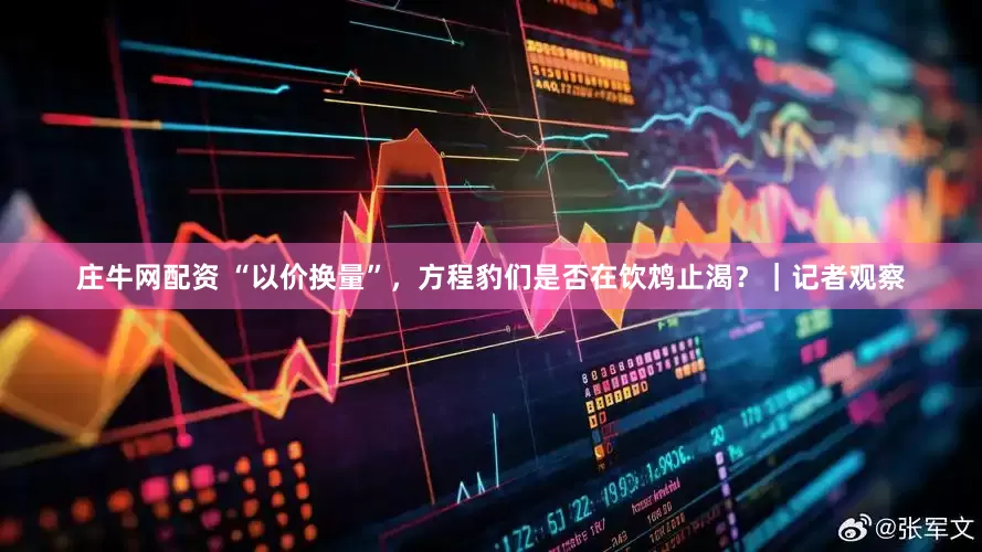 庄牛网配资 “以价换量”，方程豹们是否在饮鸩止渴？｜记者观察