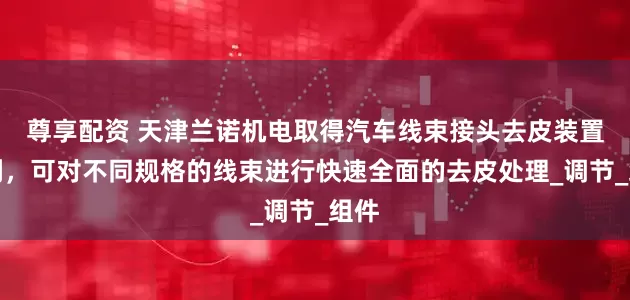 尊享配资 天津兰诺机电取得汽车线束接头去皮装置专利，可对不同规格的线束进行快速全面的去皮处理_调节_组件