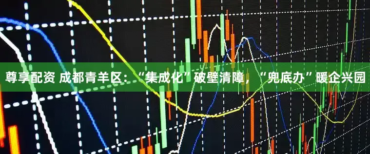 尊享配资 成都青羊区：“集成化”破壁清障，“兜底办”暖企兴园