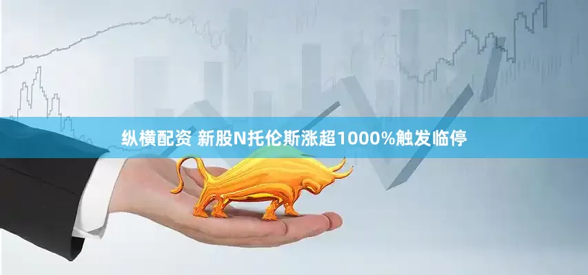 纵横配资 新股N托伦斯涨超1000%触发临停